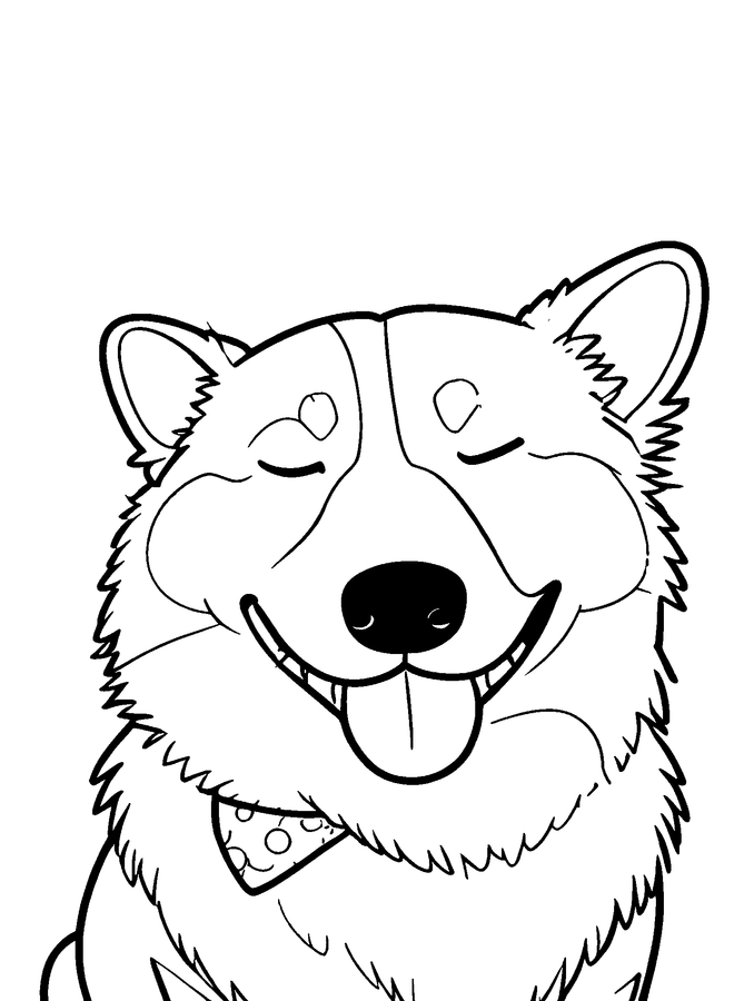 Detailed coloring page of a smiling corgi
